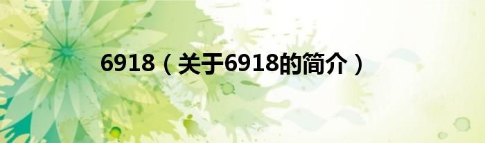 6918（關(guān)于6918的簡介）