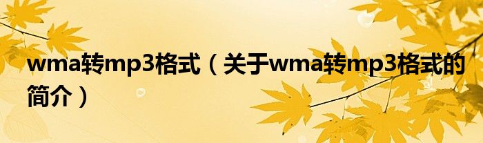 wma轉(zhuǎn)mp3格式（關(guān)于wma轉(zhuǎn)mp3格式的簡(jiǎn)介）