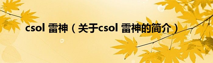 csol 雷神（關(guān)于csol 雷神的簡介）