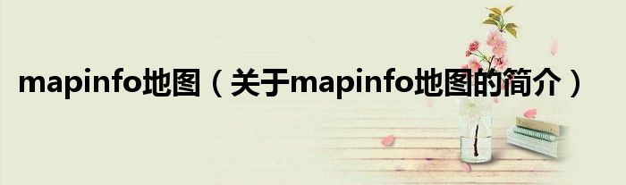 mapinfo地圖（關于mapinfo地圖的簡介）