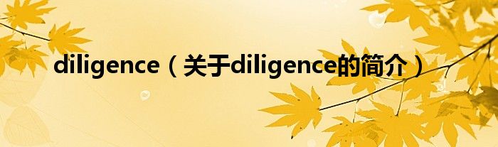 diligence（關(guān)于diligence的簡(jiǎn)介）