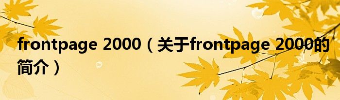 frontpage 2000（關(guān)于frontpage 2000的簡介）