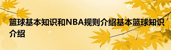 籃球基本知識和NBA規(guī)則介紹基本籃球知識介紹