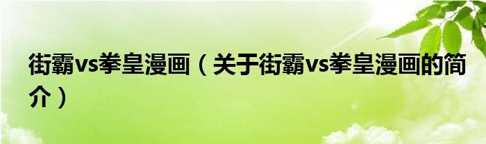 街霸vs拳皇漫畫（關(guān)于街霸vs拳皇漫畫的簡(jiǎn)介）