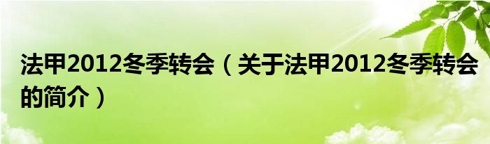 法甲2012冬季轉(zhuǎn)會(huì)（關(guān)于法甲2012冬季轉(zhuǎn)會(huì)的簡(jiǎn)介）