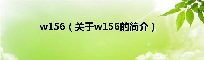 w156（關于w156的簡介）