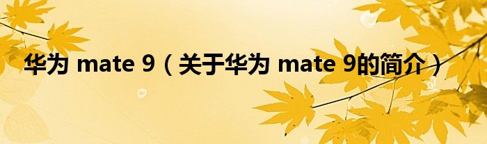 華為 mate 9（關于華為 mate 9的簡介）