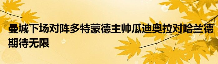 曼城下場對陣多特蒙德主帥瓜迪奧拉對哈蘭德期待無限