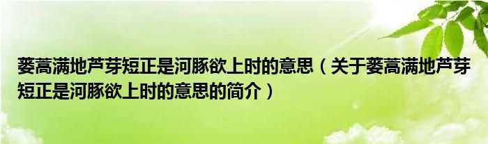 蔞蒿滿地蘆芽短正是河豚欲上時的意思（關(guān)于蔞蒿滿地蘆芽短正是河豚欲上時的意思的簡介）