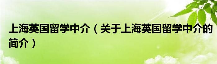 上海英國留學中介（關于上海英國留學中介的簡介）