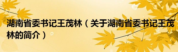 湖南省委書記王茂林（關(guān)于湖南省委書記王茂林的簡介）