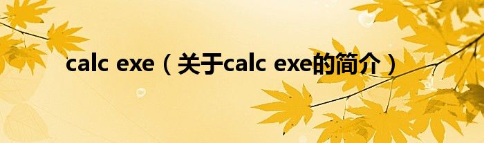 calc exe（關(guān)于calc exe的簡(jiǎn)介）