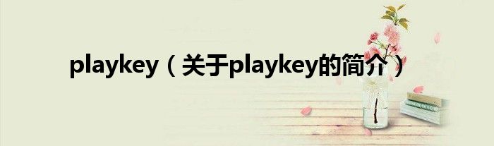 playkey（關(guān)于playkey的簡介）