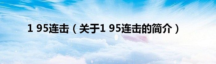 1 95連擊（關于1 95連擊的簡介）