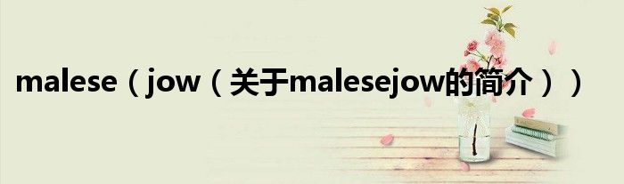 malese（jow（關(guān)于malesejow的簡(jiǎn)介））