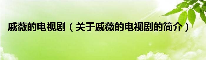 戚薇的電視?。P(guān)于戚薇的電視劇的簡(jiǎn)介）