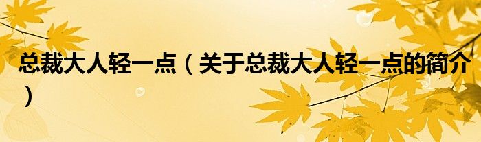 總裁大人輕一點（關(guān)于總裁大人輕一點的簡介）