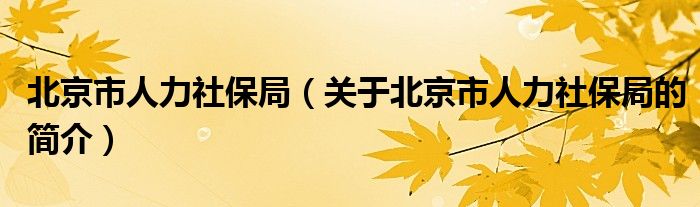 北京市人力社保局（關(guān)于北京市人力社保局的簡(jiǎn)介）