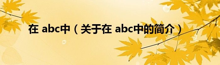 在 abc中（關(guān)于在 abc中的簡介）