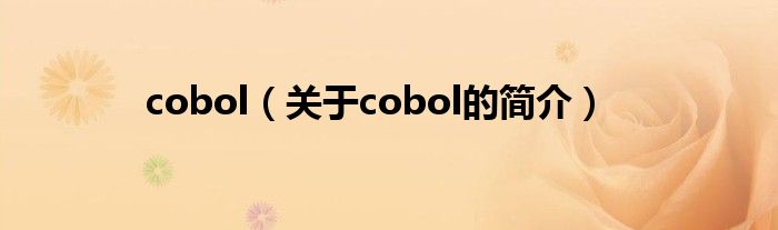 cobol（關(guān)于cobol的簡介）