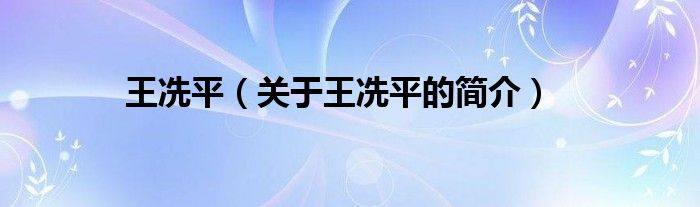 王冼平（關(guān)于王冼平的簡(jiǎn)介）