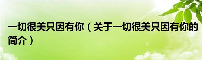 一切很美只因有你（關(guān)于一切很美只因有你的簡介）