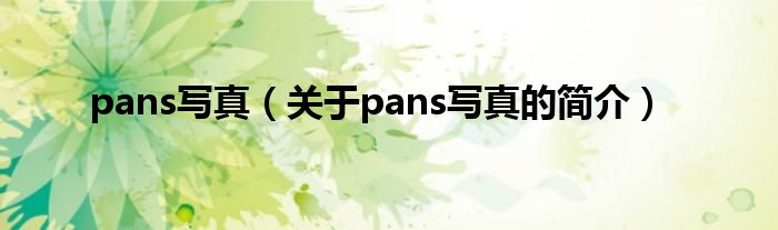 pans寫真（關于pans寫真的簡介）