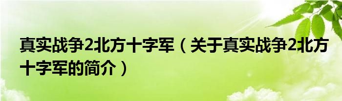 真實(shí)戰(zhàn)爭2北方十字軍（關(guān)于真實(shí)戰(zhàn)爭2北方十字軍的簡介）