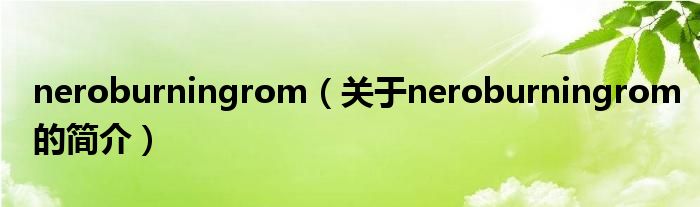 neroburningrom（關(guān)于neroburningrom的簡介）