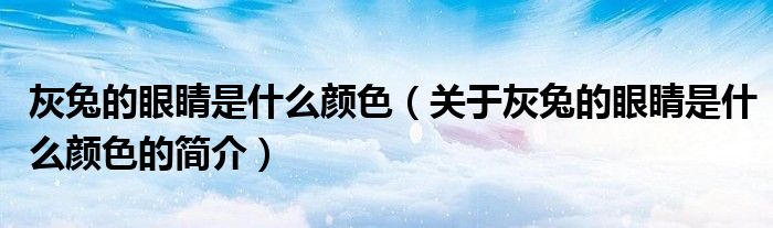 灰兔的眼睛是什么顏色（關(guān)于灰兔的眼睛是什么顏色的簡(jiǎn)介）