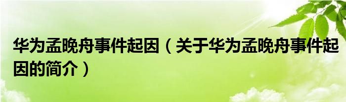 華為孟晚舟事件起因（關于華為孟晚舟事件起因的簡介）