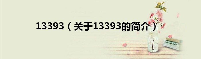 13393（關(guān)于13393的簡介）