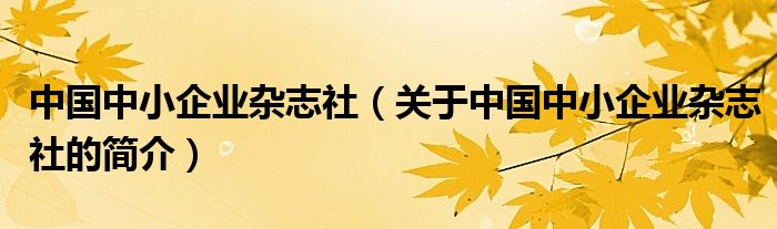 中國中小企業(yè)雜志社（關于中國中小企業(yè)雜志社的簡介）