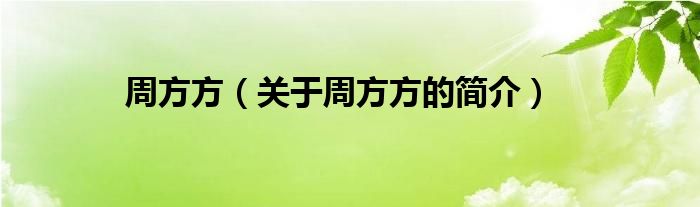 周方方（關(guān)于周方方的簡介）