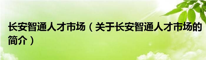 長(zhǎng)安智通人才市場(chǎng)（關(guān)于長(zhǎng)安智通人才市場(chǎng)的簡(jiǎn)介）