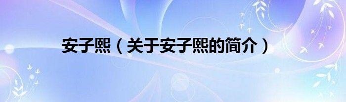 安子熙（關(guān)于安子熙的簡(jiǎn)介）