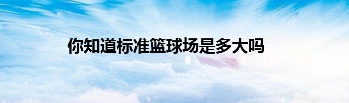 你知道標準籃球場是多大嗎