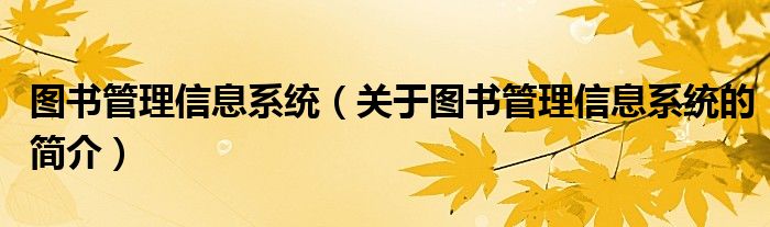 圖書管理信息系統(tǒng)（關于圖書管理信息系統(tǒng)的簡介）