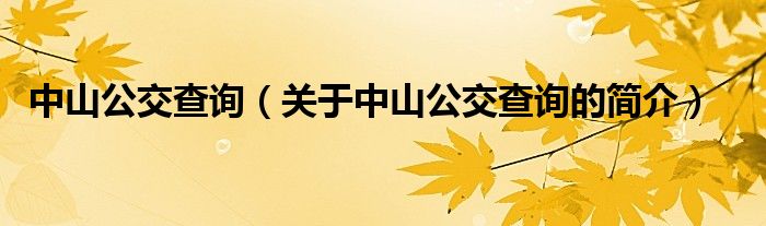 中山公交查詢（關于中山公交查詢的簡介）