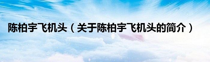 陳柏宇飛機(jī)頭（關(guān)于陳柏宇飛機(jī)頭的簡(jiǎn)介）