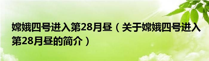 嫦娥四號(hào)進(jìn)入第28月晝（關(guān)于嫦娥四號(hào)進(jìn)入第28月晝的簡(jiǎn)介）