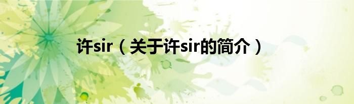 許sir（關于許sir的簡介）