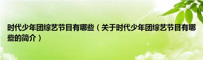 時代少年團綜藝節(jié)目有哪些（關于時代少年團綜藝節(jié)目有哪些的簡介）