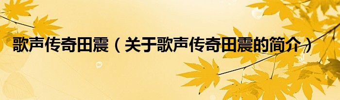 歌聲傳奇田震（關(guān)于歌聲傳奇田震的簡(jiǎn)介）