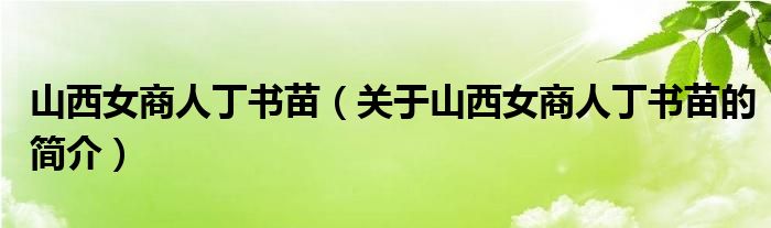 山西女商人丁書苗（關于山西女商人丁書苗的簡介）