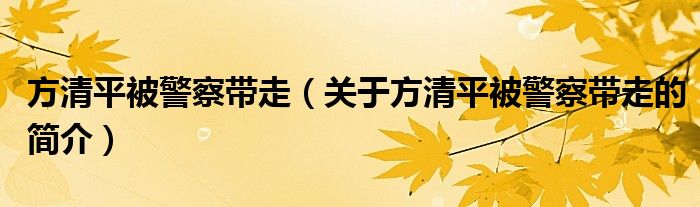 方清平被警察帶走（關(guān)于方清平被警察帶走的簡介）