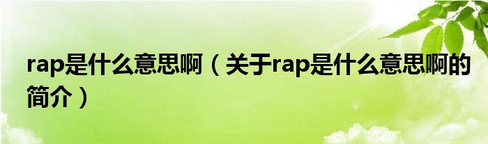 rap是什么意思啊（關(guān)于rap是什么意思啊的簡介）