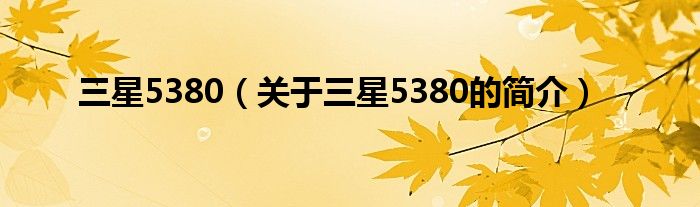 三星5380（關(guān)于三星5380的簡(jiǎn)介）