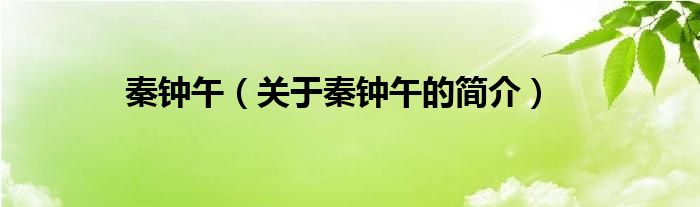 秦鐘午（關(guān)于秦鐘午的簡(jiǎn)介）