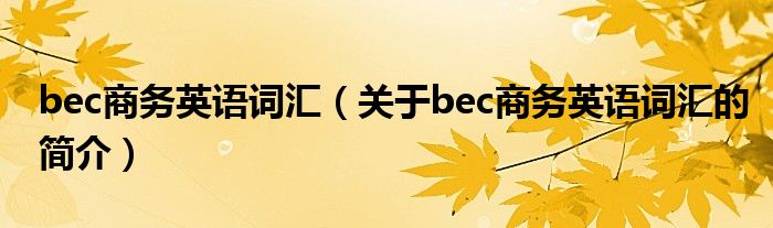 bec商務(wù)英語詞匯（關(guān)于bec商務(wù)英語詞匯的簡(jiǎn)介）